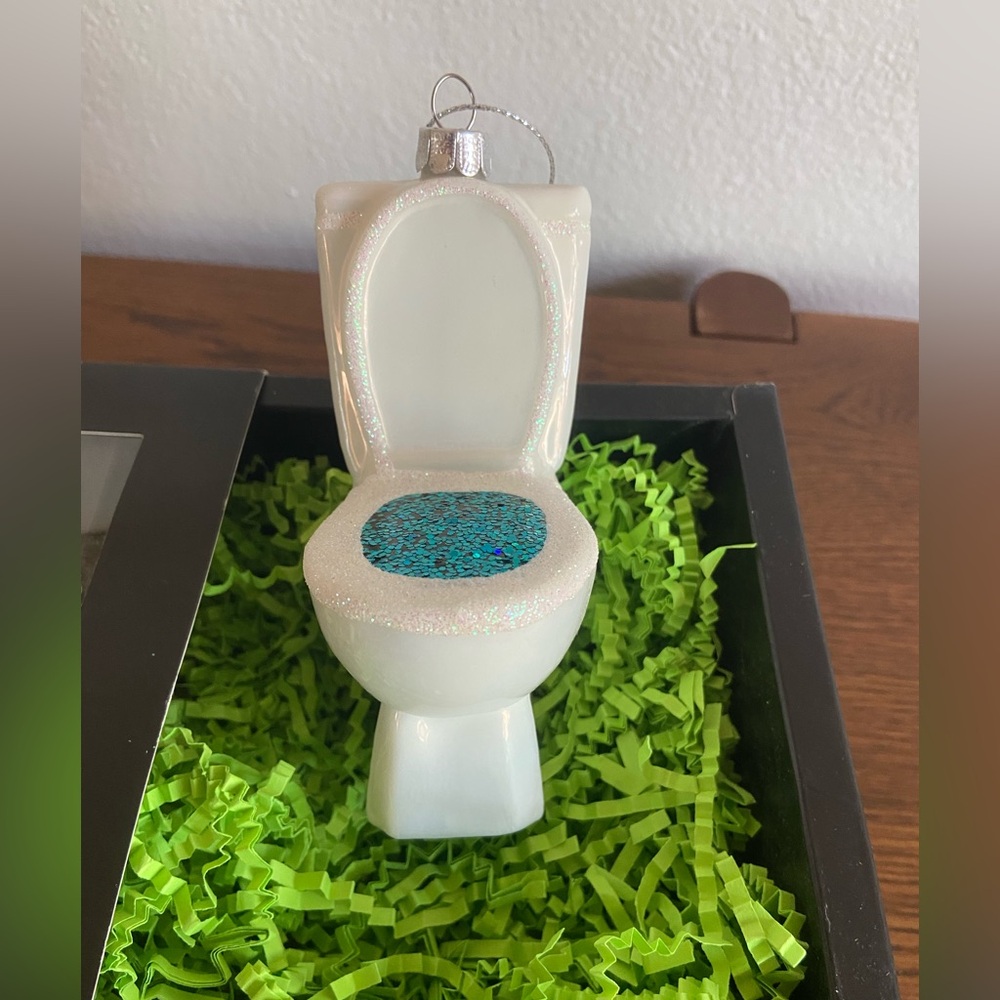 Party Rock Toilet Glass Christmas Ornament.
